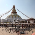 18 Boudha Stupa with Birds